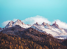 开云APP-沙职：本泽马新月首秀大演帽子戏法